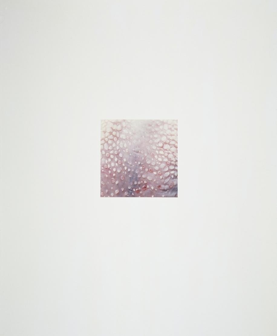 Andrei Lajunen, sarjasta Varmuudesta, 1996–1998. Kromogeeninen värivedos. Suomen valokuvataiteen museo.