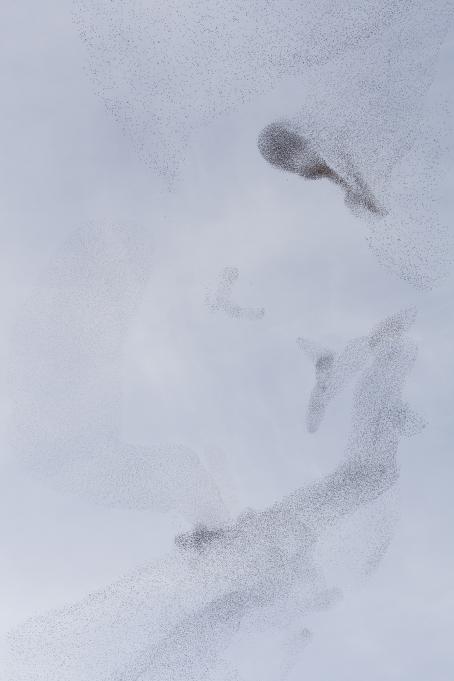 Daniela Friebel, from the series Auspicia