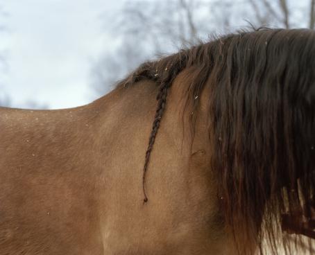 Kati Leinonen, from the series Äimärautio
