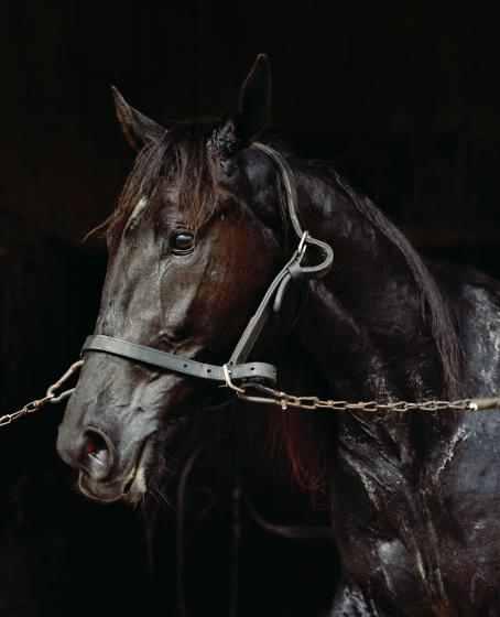 Kati Leinonen, from the series Äimärautio