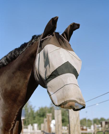 Kati Leinonen, from the series Äimärautio