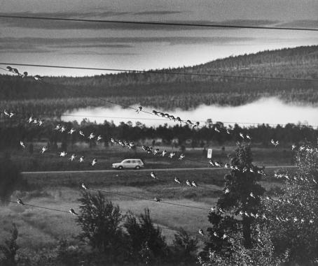 Caj Bremer: from the series Finnish Everyday Life, 1971.