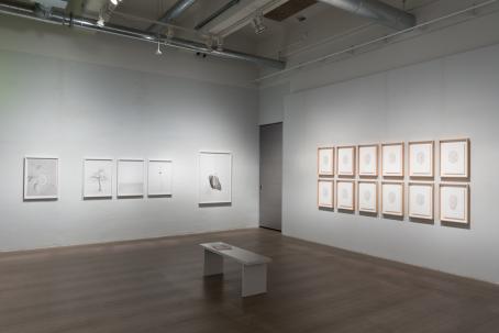 Marta Zgierskan näyttely Post Projekti-tilassa vuonna 2017. Kuva: Virve Laustela / Suomen valokuvataiteen museo
